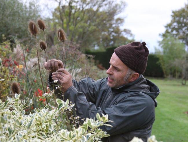 Designing with Plants the Great Dixter Way